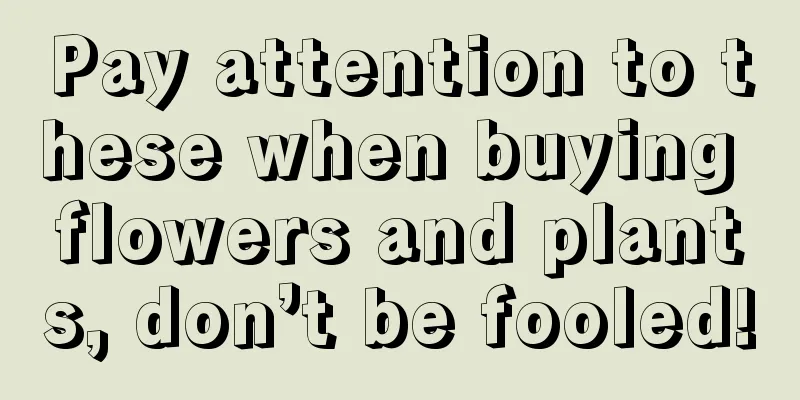 Pay attention to these when buying flowers and plants, don’t be fooled!