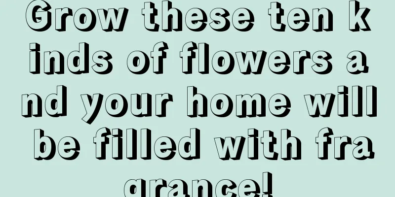 Grow these ten kinds of flowers and your home will be filled with fragrance!