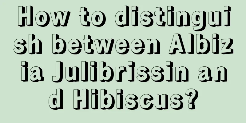 How to distinguish between Albizia Julibrissin and Hibiscus?