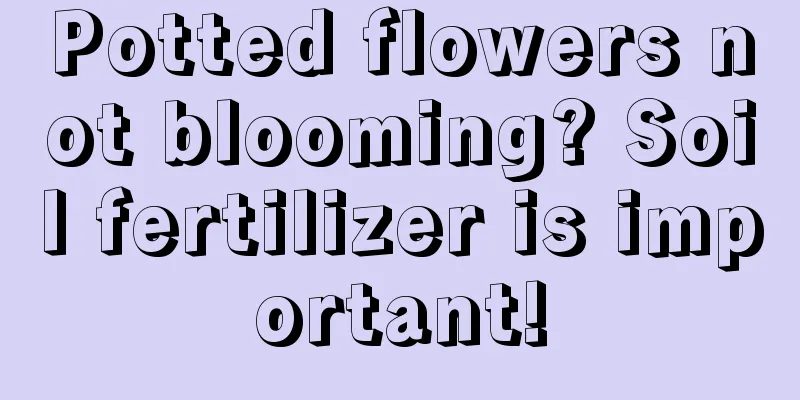 Potted flowers not blooming? Soil fertilizer is important!