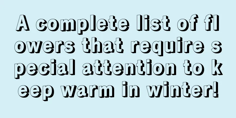 A complete list of flowers that require special attention to keep warm in winter!