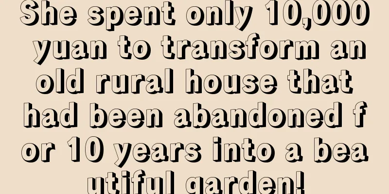 She spent only 10,000 yuan to transform an old rural house that had been abandoned for 10 years into a beautiful garden!