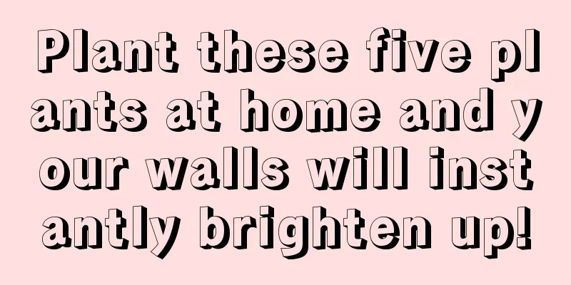 Plant these five plants at home and your walls will instantly brighten up!