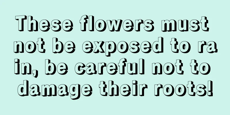 These flowers must not be exposed to rain, be careful not to damage their roots!