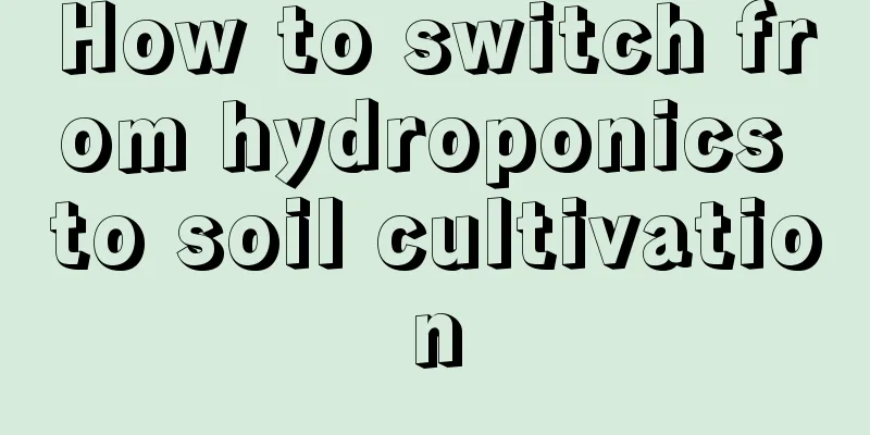 How to switch from hydroponics to soil cultivation