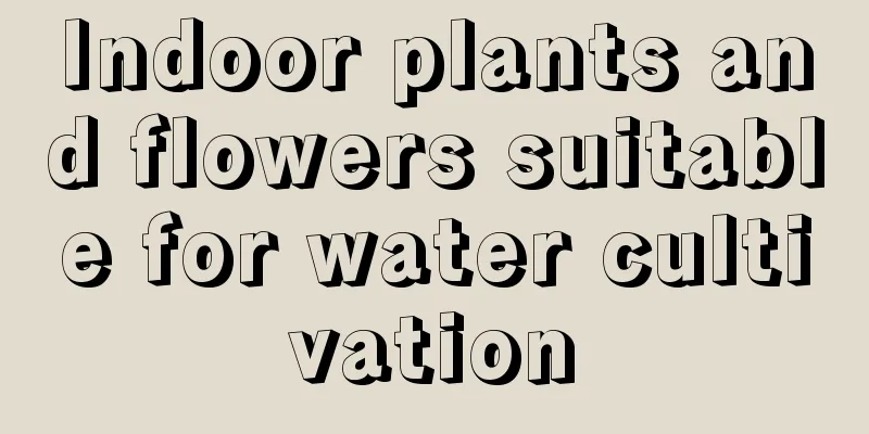 Indoor plants and flowers suitable for water cultivation