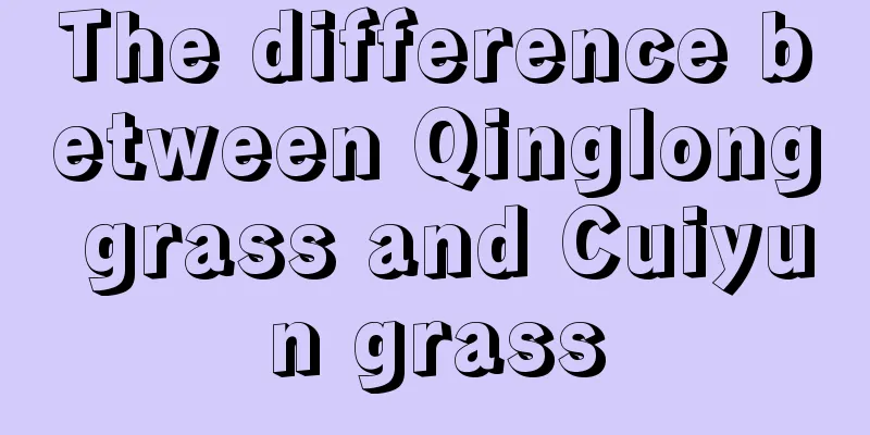 The difference between Qinglong grass and Cuiyun grass