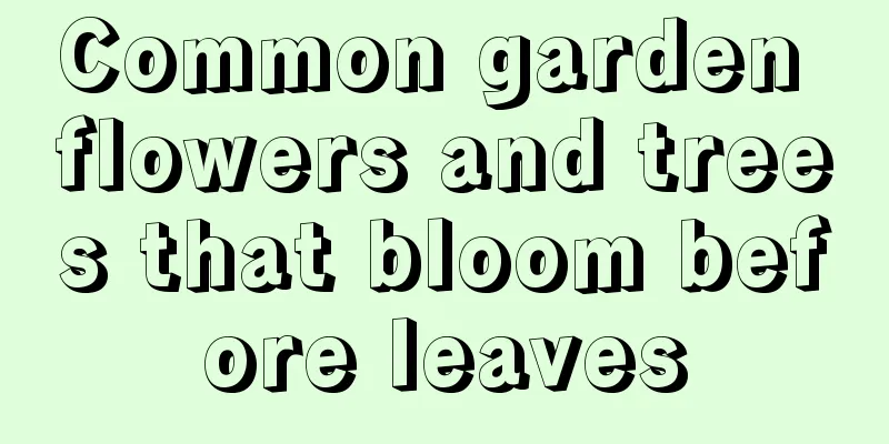 Common garden flowers and trees that bloom before leaves