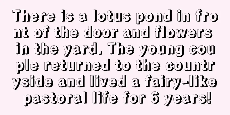 There is a lotus pond in front of the door and flowers in the yard. The young couple returned to the countryside and lived a fairy-like pastoral life for 6 years!