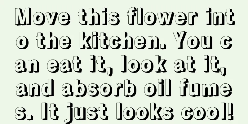 Move this flower into the kitchen. You can eat it, look at it, and absorb oil fumes. It just looks cool!