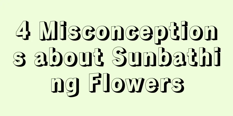 4 Misconceptions about Sunbathing Flowers