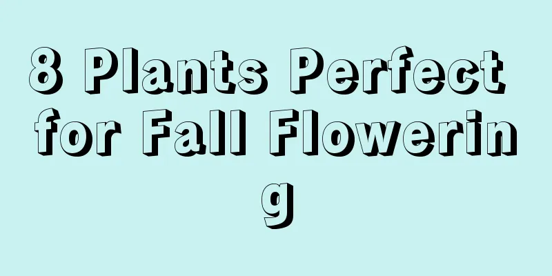 8 Plants Perfect for Fall Flowering