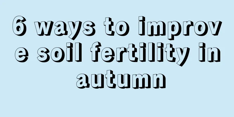 6 ways to improve soil fertility in autumn