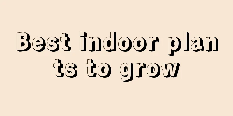 Best indoor plants to grow