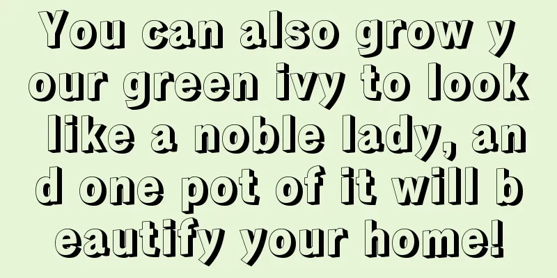 You can also grow your green ivy to look like a noble lady, and one pot of it will beautify your home!