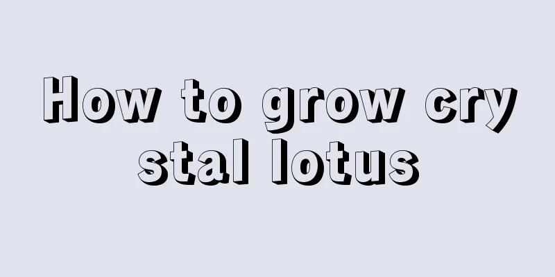 How to grow crystal lotus