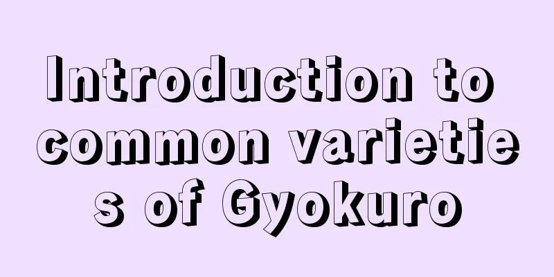 Introduction to common varieties of Gyokuro