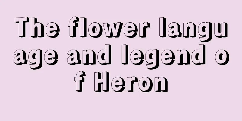 The flower language and legend of Heron