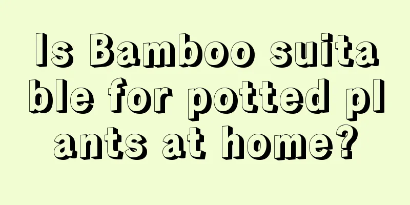 Is Bamboo suitable for potted plants at home?