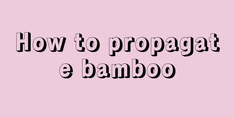 How to propagate bamboo