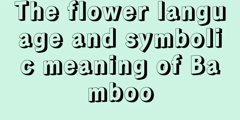 The flower language and symbolic meaning of Bamboo