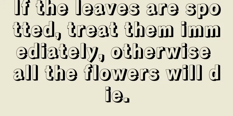 If the leaves are spotted, treat them immediately, otherwise all the flowers will die.