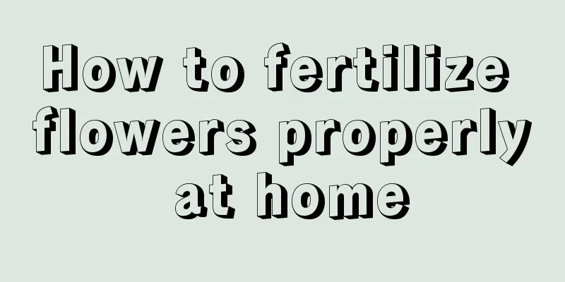 How to fertilize flowers properly at home