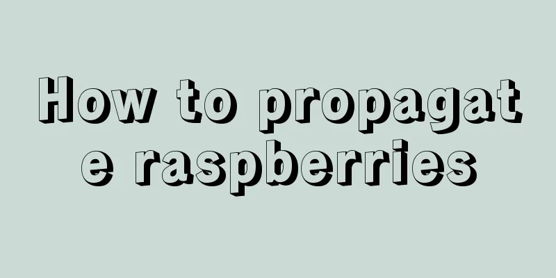 How to propagate raspberries