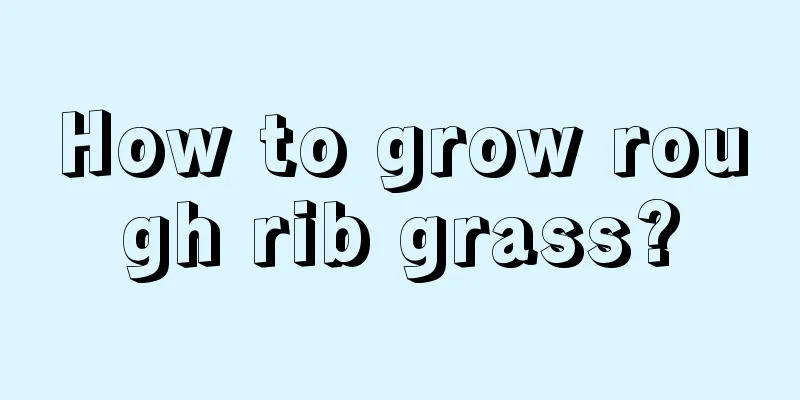 How to grow rough rib grass?