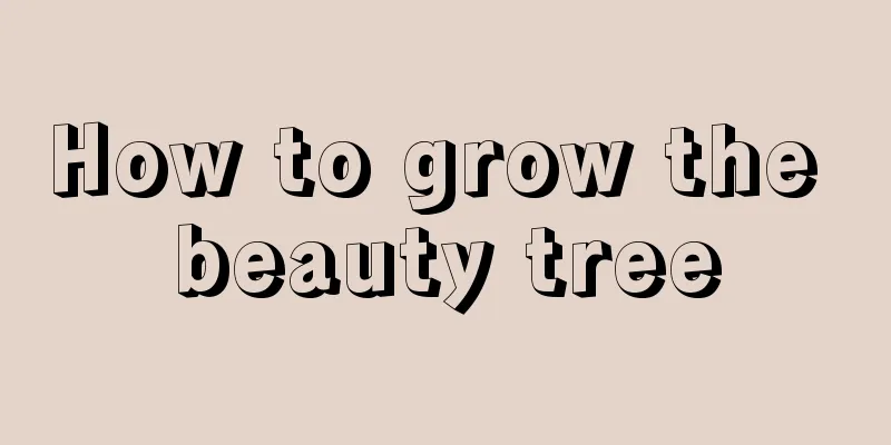 How to grow the beauty tree