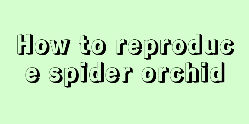 How to reproduce spider orchid