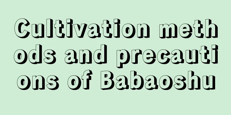 Cultivation methods and precautions of Babaoshu