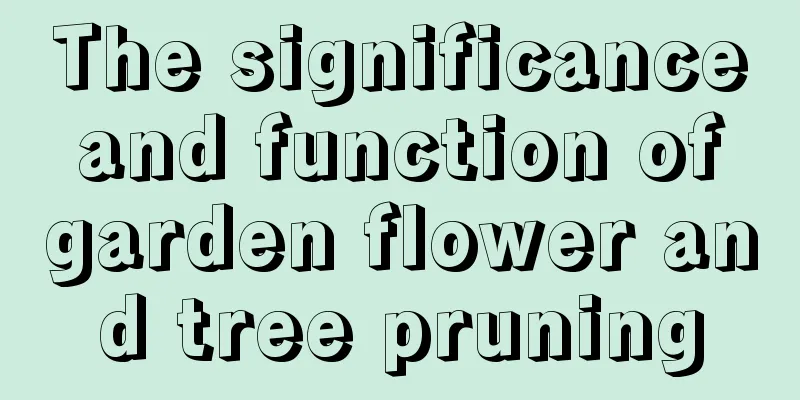 The significance and function of garden flower and tree pruning