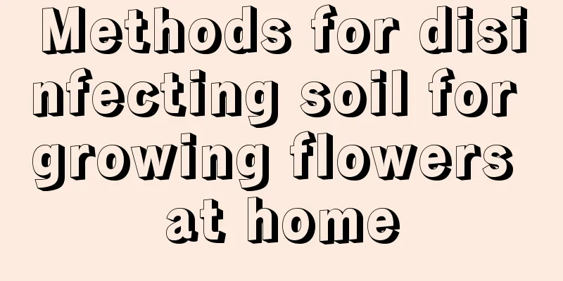 Methods for disinfecting soil for growing flowers at home