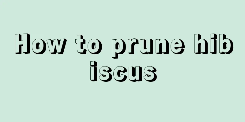 How to prune hibiscus