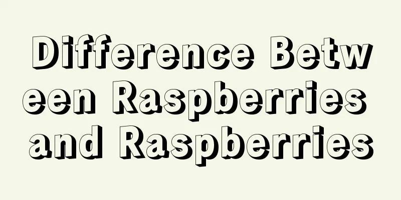 Difference Between Raspberries and Raspberries