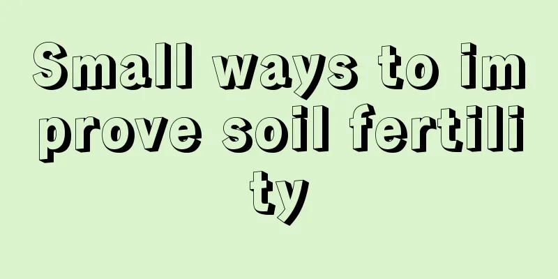 Small ways to improve soil fertility