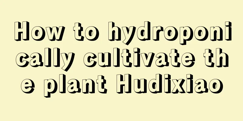 How to hydroponically cultivate the plant Hudixiao