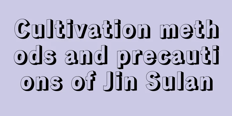 Cultivation methods and precautions of Jin Sulan