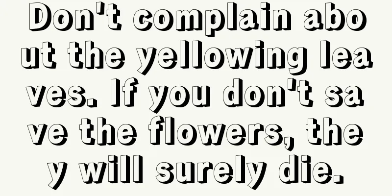 Don't complain about the yellowing leaves. If you don't save the flowers, they will surely die.