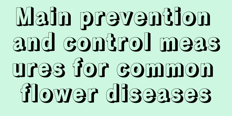 Main prevention and control measures for common flower diseases