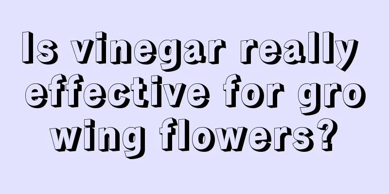 Is vinegar really effective for growing flowers?