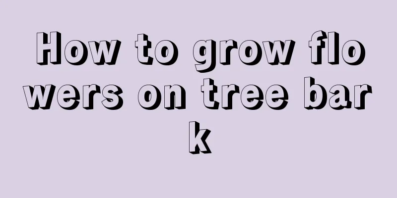 How to grow flowers on tree bark