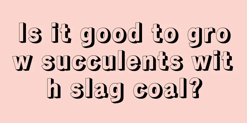 Is it good to grow succulents with slag coal?