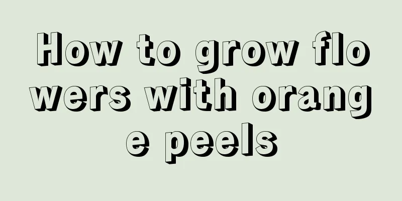 How to grow flowers with orange peels