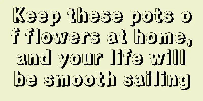 Keep these pots of flowers at home, and your life will be smooth sailing