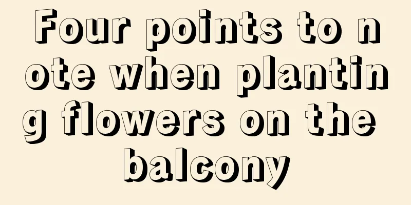 Four points to note when planting flowers on the balcony