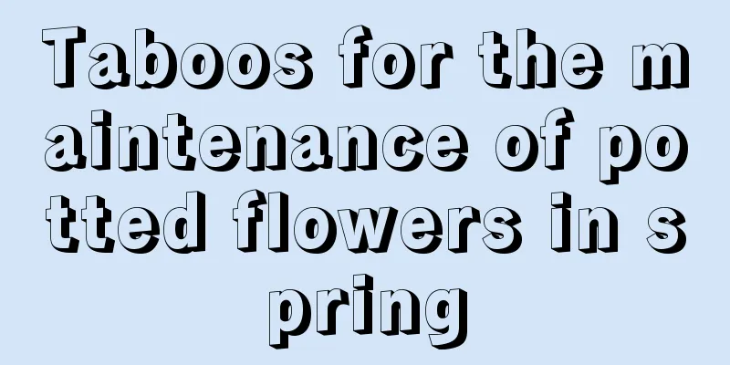 Taboos for the maintenance of potted flowers in spring