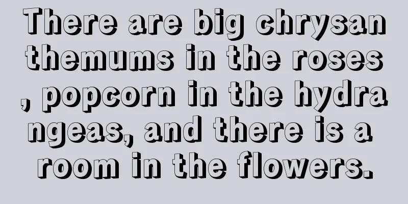 There are big chrysanthemums in the roses, popcorn in the hydrangeas, and there is a room in the flowers.