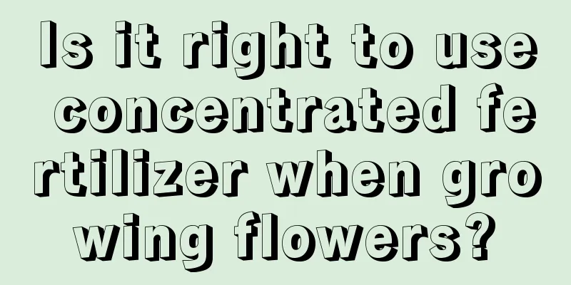 Is it right to use concentrated fertilizer when growing flowers?